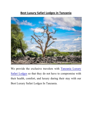Best Luxury Safari Lodges in Tanzania