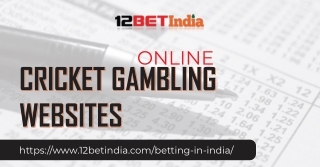 Online Cricket Gambling Website - 12 Bet India