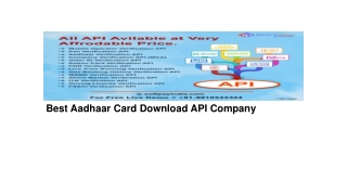 Best Aadhaar Card Download API Company