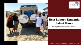 Best Luxury Tanzania Safari Tours