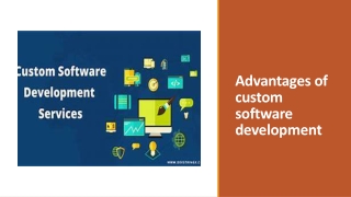 Custom Software Development Company in Chandigarh