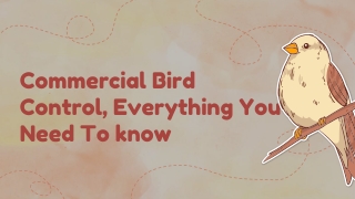 Commercial Bird Control, Everything You Need To know