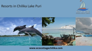 Resorts in Chilika Lake Puri