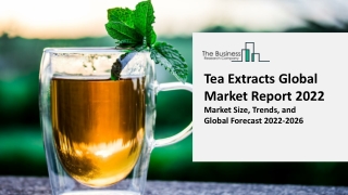 Tea Extracts Market Growth Analysis through 2031