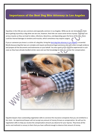 Importance of the Best Dog Bite Attorney in Los Angeles