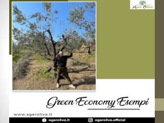 Green Economy Esempi