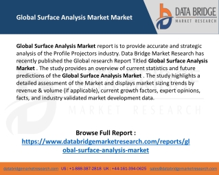 Global Surface Analysis  Market Size