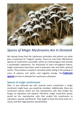 Spores of Magic Mushrooms Are In Demand