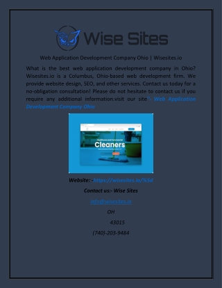 Web Application Development Company Ohio  Wisesites.io