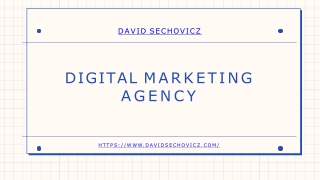 David Sechovicz Digital Marketer