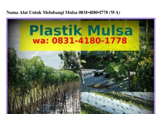Nama Alat Untuk Melubangi Mulsa Ö8Зl.Ꮞl8Ö.l778{WA}