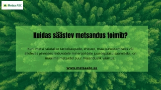 Kuidas säästev metsandus toimib