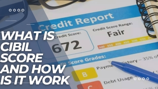 WHAT IS A CIBIL SCORE?