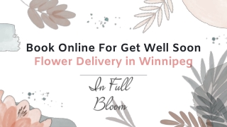 Book Online for Get well Soon Flower Delivery in Winnipeg