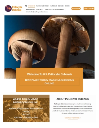 uspsilocybecubensis