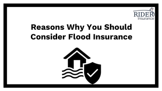 Reasons Why You Should Consider Flood Insurance