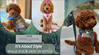 It’s About Style Walk Your Dog in Style - Doodle Couture