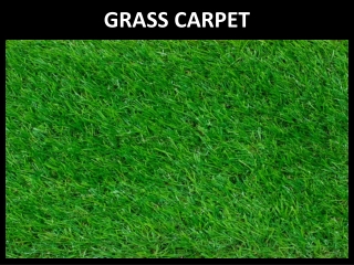 Grass Carpets In Dubai