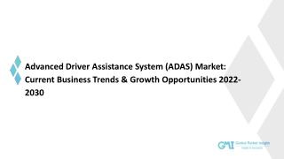 Advanced Driver Assistance System (ADAS) Market Share, Trend & Growth Forecast t