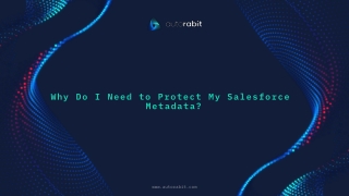 Why Do I Need to Protect My Salesforce Metadata?