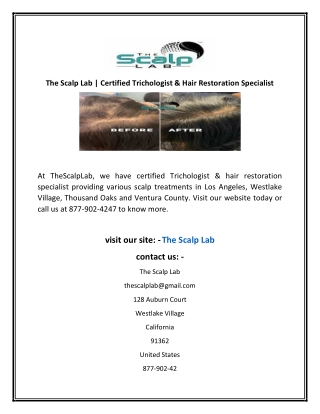 The Scalp Lab