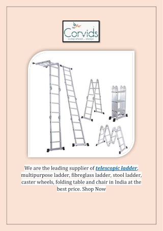 Leading Supplier of Telescopic Ladder, Multipurpose ladder, Fibreglass ladder