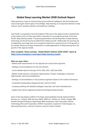 2022 Deep Learning Industry Global Analysis Report