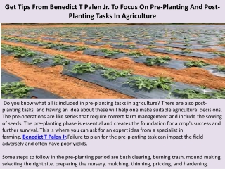 Get Tips From Benedict T Palen Jr. To Focus On Pre-Planting And Post-Planting Ta