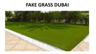 Fake Grass Abu Dhabi