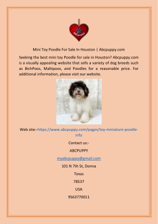 Mini Toy Poodle For Sale In Houston  Abcpuppy