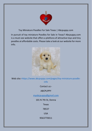 Toy Miniature Poodles For Sale Texas  Abcpuppy