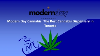 Modern Day Cannabis: The Best Cannabis Dispensary in Toronto