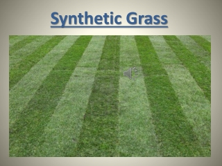 Synthetic Grass In Dubai