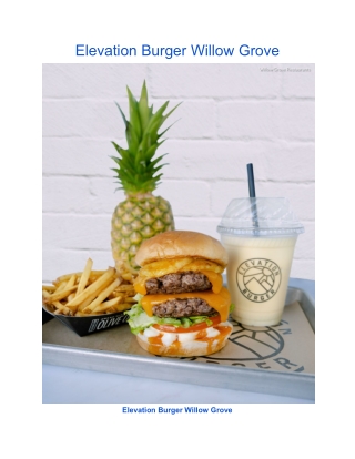 Elevation Burger Willow Grove
