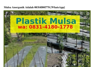 Mulsa Anorganik Adalah