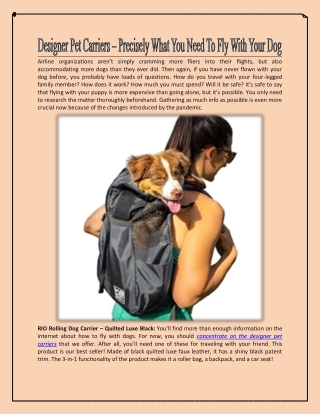 Designer Pet Carriers – Precisely What You Need To Fly With Your Dog