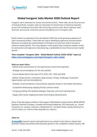 2021 Inorganic Salts Industry Global Analysis Report