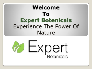 Expert Botanicals Trainwreck Gram Powder 60