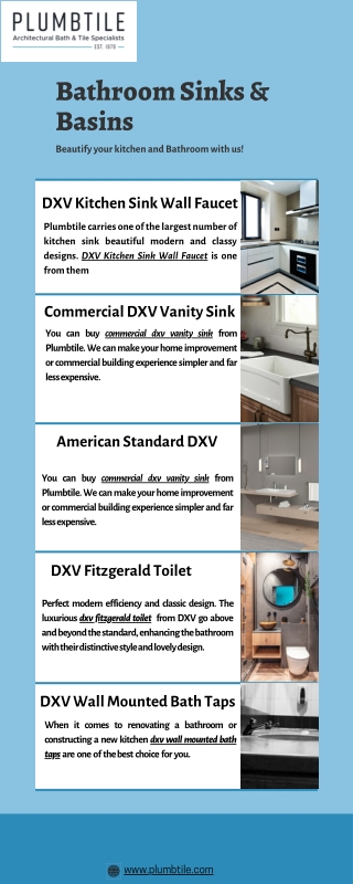 DXV Kitchen Sink Wall Faucet