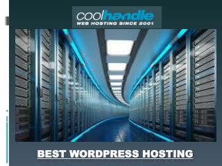 Best WordPress Hosting