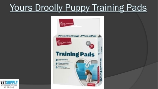 Buy Yours Droolly Puppy Training Pads online at best price | VetSupply