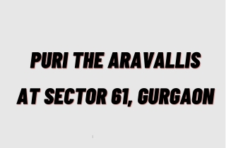 Puri The Aravallis Gurgaon - Downlaod PDF