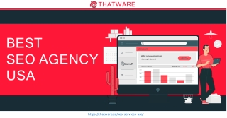 Find Best SEO Agency USA - ThatWare