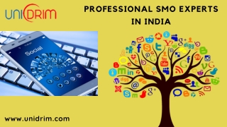 Professional SMO Experts in India