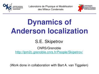 Dynamics of Anderson localization