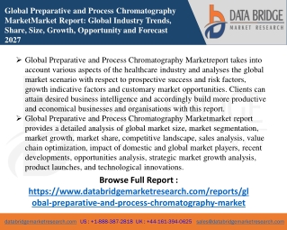 Global Preparative and Process Chromatography Market