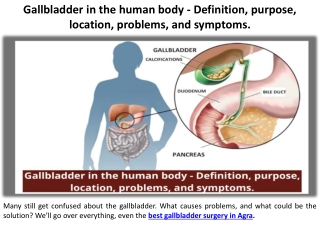 Human Gallbladder: Meaning, Function, Location, Problems, and Warning Signs