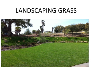 Landscaping Grass In Dubai
