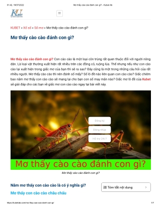 Mơ thấy cào cào đánh con gì_ - Kubet Ab