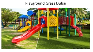Playground Grass In Abu Dhabi